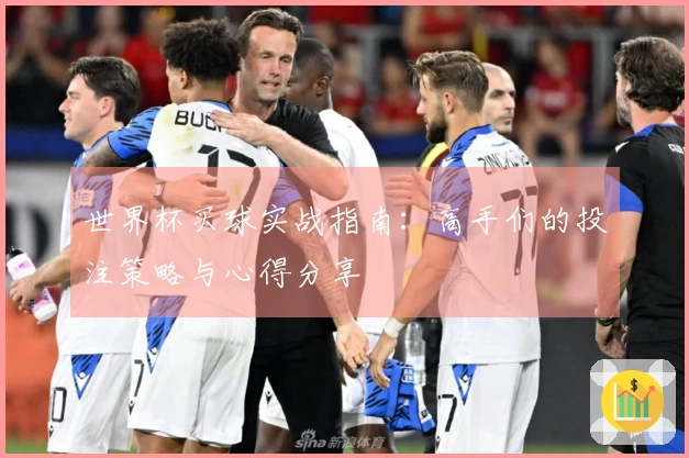 世界杯买球实战指南：高手们的投注策略与心得分享