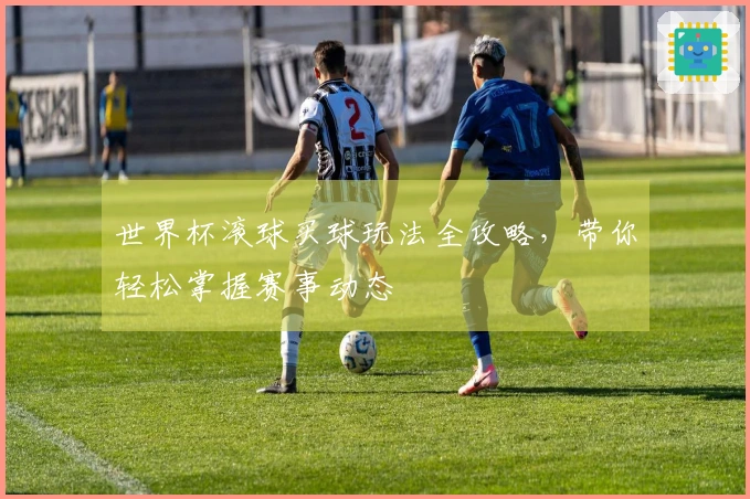 世界杯滚球买球玩法全攻略，带你轻松掌握赛事动态