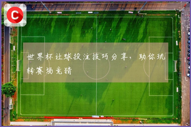 世界杯让球投注技巧分享，助你玩转赛场竞猜