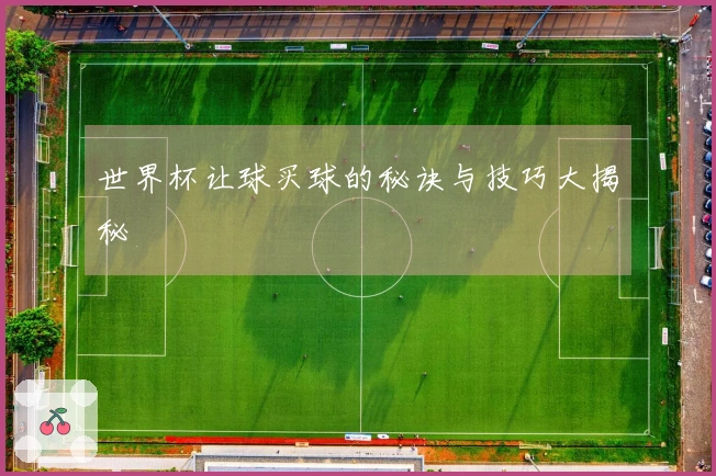 世界杯让球买球的秘诀与技巧大揭秘