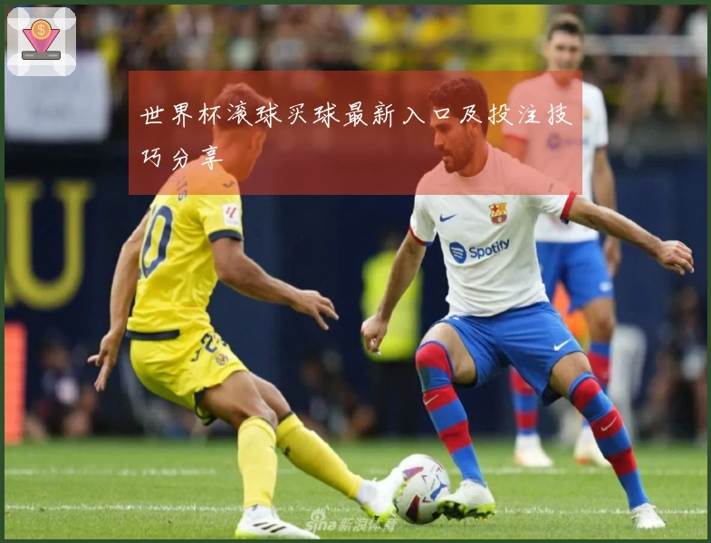 世界杯滚球买球最新入口及投注技巧分享