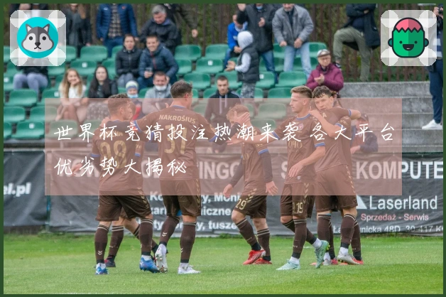 世界杯竞猜投注热潮来袭 各大平台优劣势大揭秘