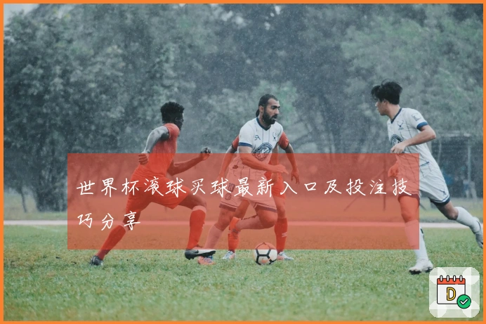 世界杯滚球买球最新入口及投注技巧分享