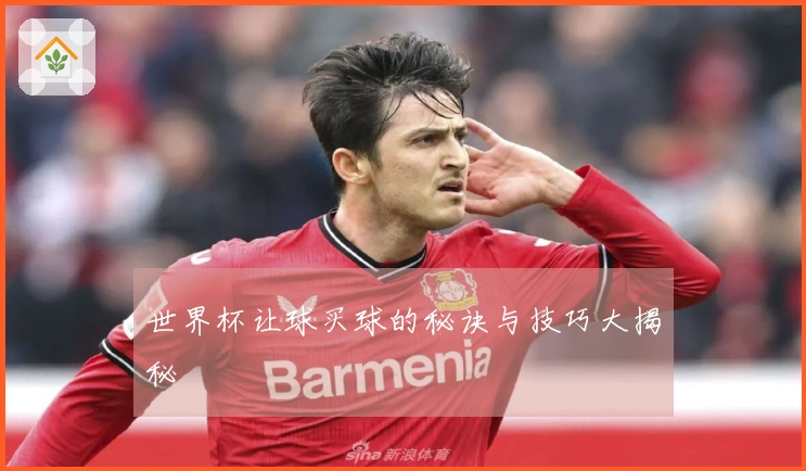 世界杯让球买球的秘诀与技巧大揭秘