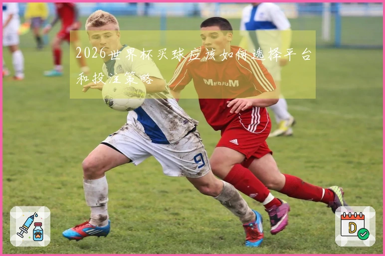 2026世界杯买球应该如何选择平台和投注策略