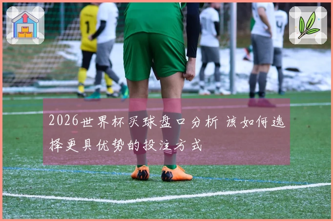 2026世界杯买球盘口分析 该如何选择更具优势的投注方式